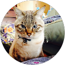 Jルディ profile picture